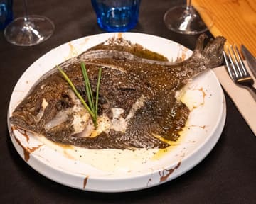 Grilled wild turbot